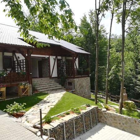 Apartamento Casa Gozna Văliug Exterior foto