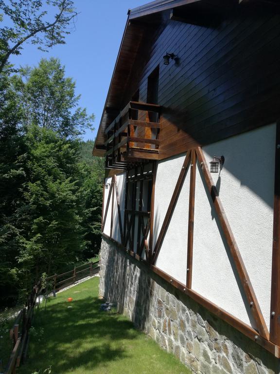 Apartamento Casa Gozna Văliug Exterior foto