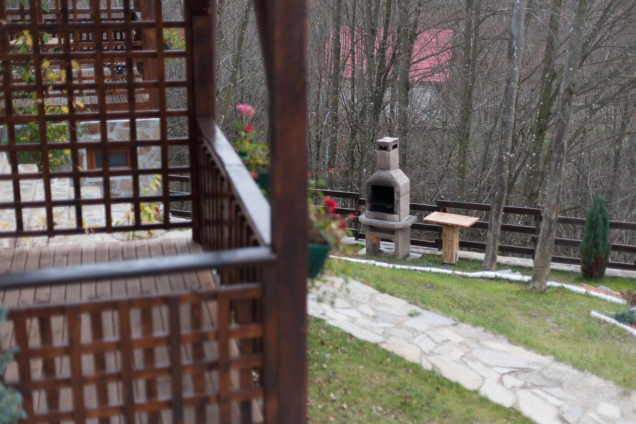 Apartamento Casa Gozna Văliug Exterior foto