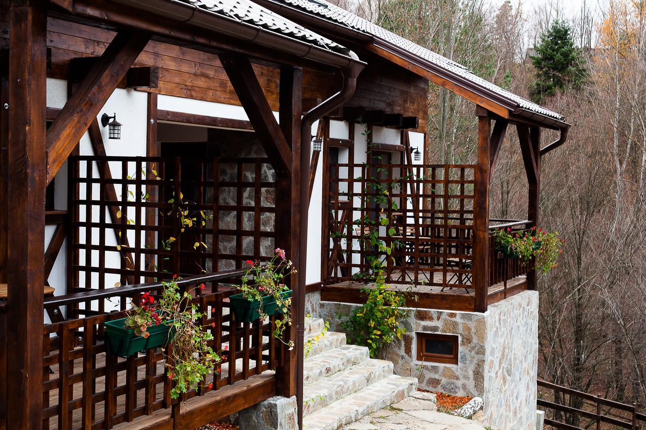 Apartamento Casa Gozna Văliug Exterior foto