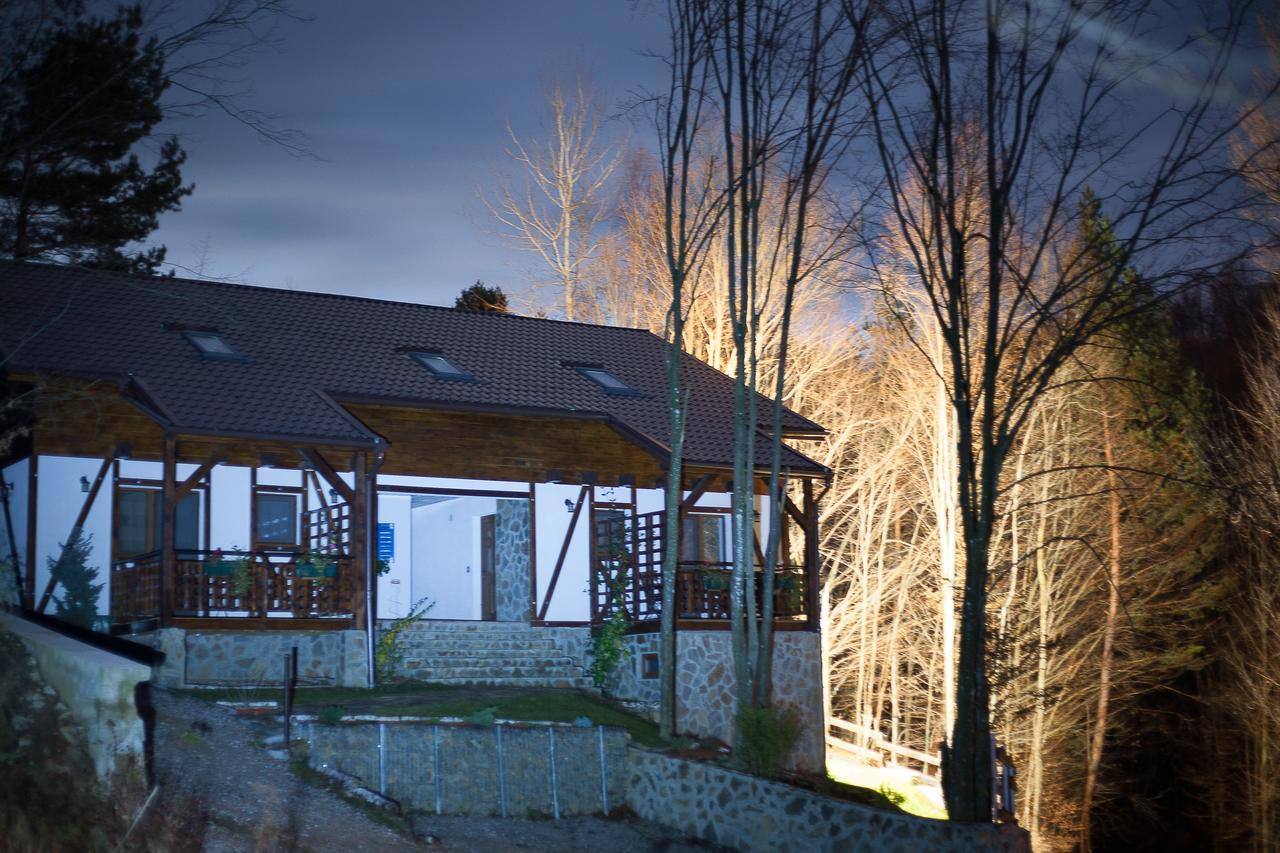 Apartamento Casa Gozna Văliug Exterior foto