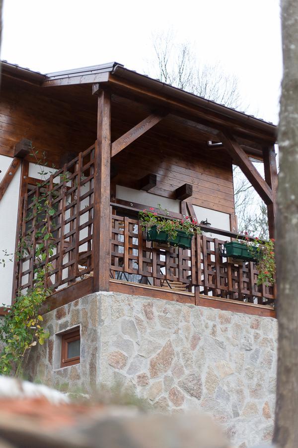 Apartamento Casa Gozna Văliug Exterior foto