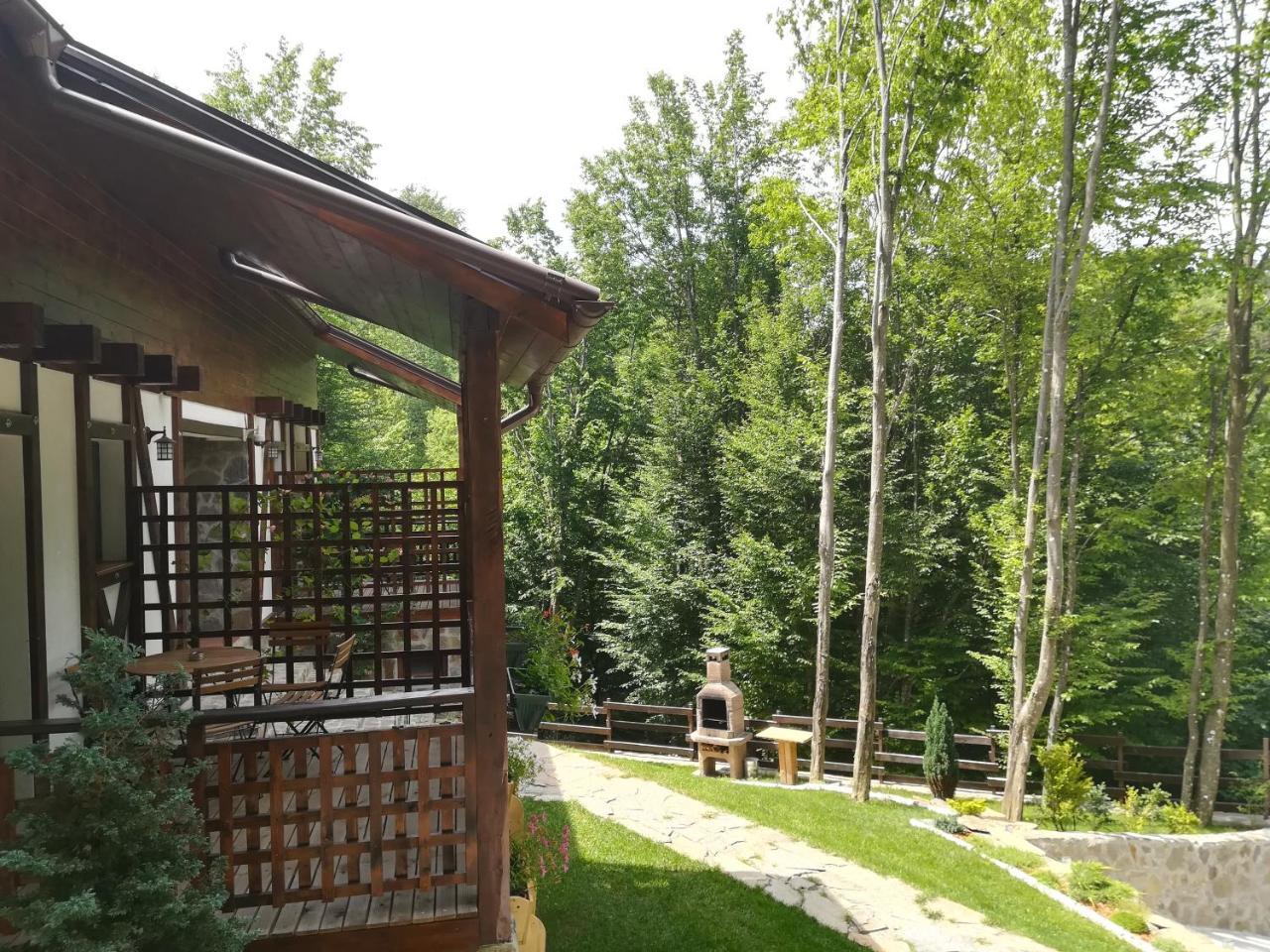 Apartamento Casa Gozna Văliug Exterior foto