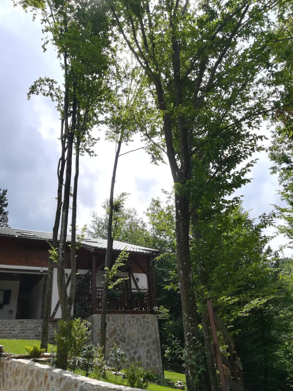 Apartamento Casa Gozna Văliug Exterior foto