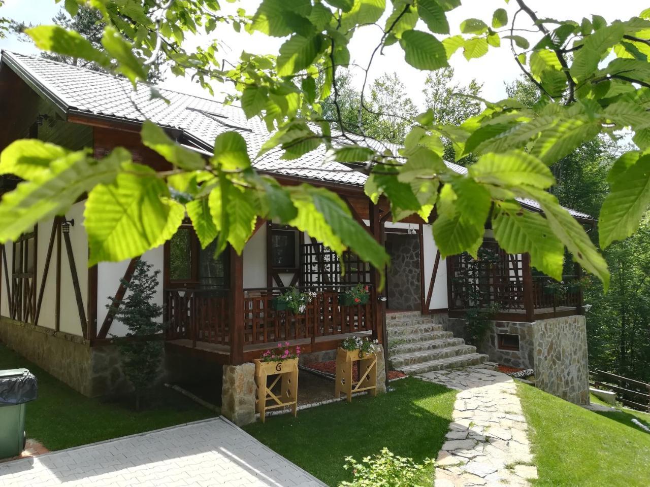 Apartamento Casa Gozna Văliug Exterior foto