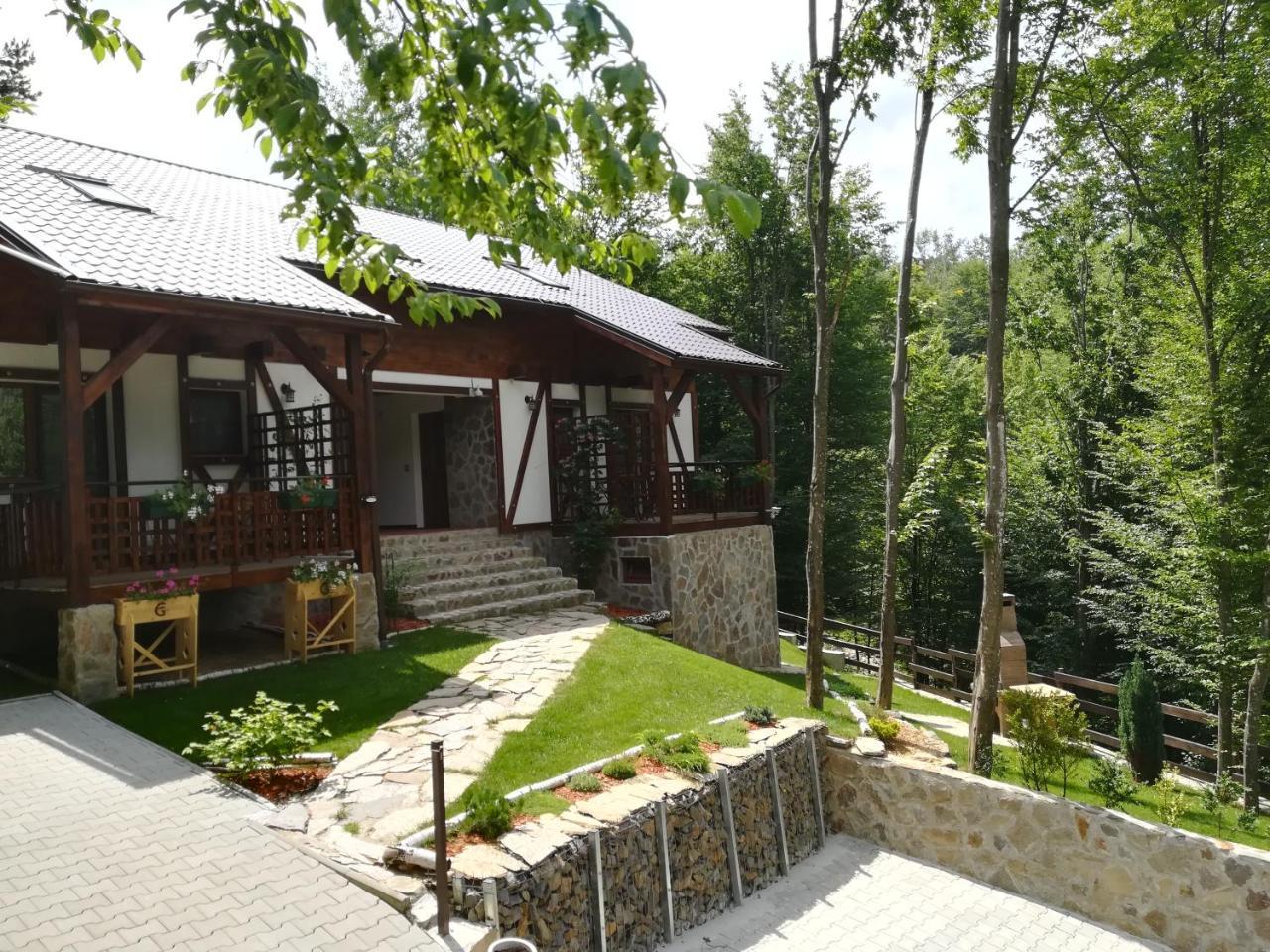 Apartamento Casa Gozna Văliug Exterior foto