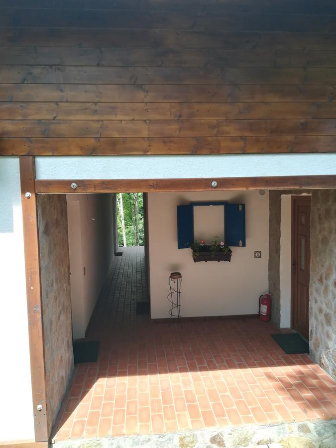 Apartamento Casa Gozna Văliug Exterior foto